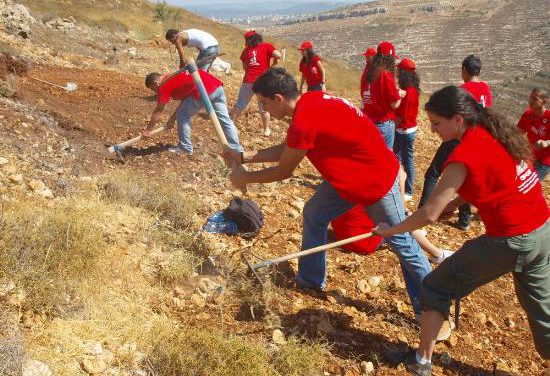 الثقل السياسى للعمل التطوعي