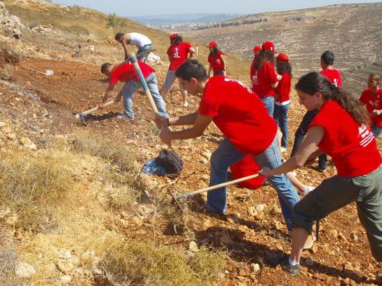 الثقل السياسى للعمل التطوعي