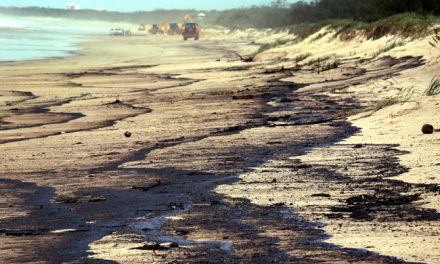 المسؤولية الاجتماعية للشركات ليست صدقة